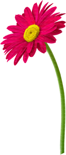 Flower.Pink - PNG gratuit