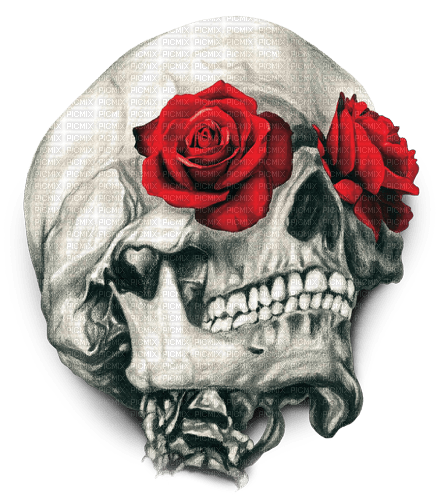 Y.A.M._Gothic skull - ilmainen png