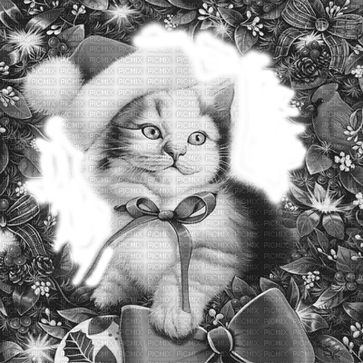Y.A.M._New year Christmas cat black-white - ücretsiz png