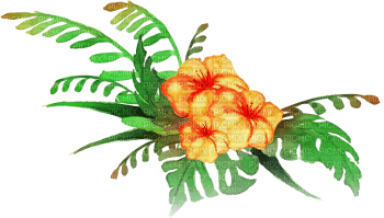 soave deco summer  tropical orange green - PNG gratuit