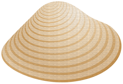 Kaz_Creations Summer Beach Sea Shell - PNG gratuit
