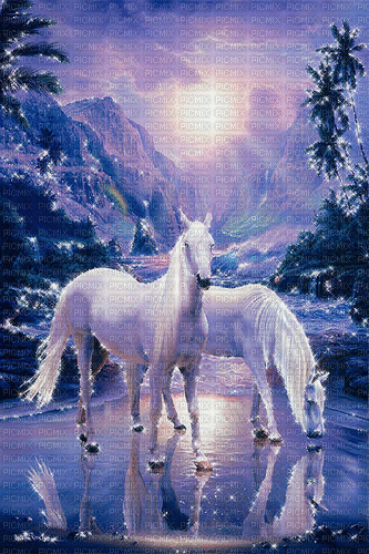 horse  by nataliplus - Δωρεάν κινούμενο GIF