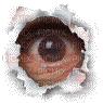 eyes peeking - 免费动画 GIF
