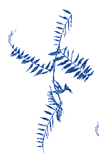 Acuatic.Plant.Blue.Deco.Victoriabea - Free animated GIF