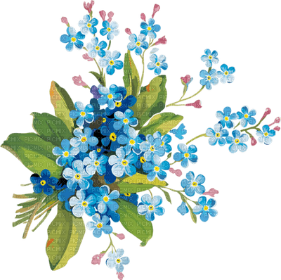 blue flower - δωρεάν png