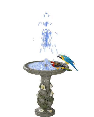 fontaine - Nemokamas animacinis gif