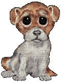 gif chien - Бесплатный анимированный гифка