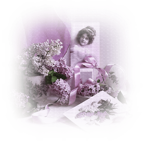 deco----decoration--lila--purple - бесплатно png