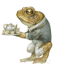 Frog - zadarmo png