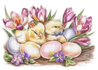 Küken, Eier, Blumen, Ostern - ingyenes png