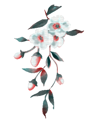 soave deco animated branch spring flowers pink - 免费动画 GIF