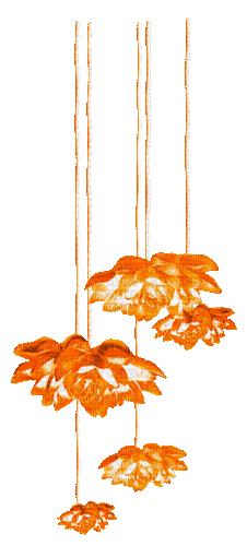 Flowers.Orange - By KittyKatLuv65 - GIF animado grátis