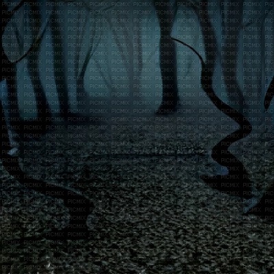 Black Creepy Forest - png gratis