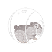 Hamster - Gratis animeret GIF