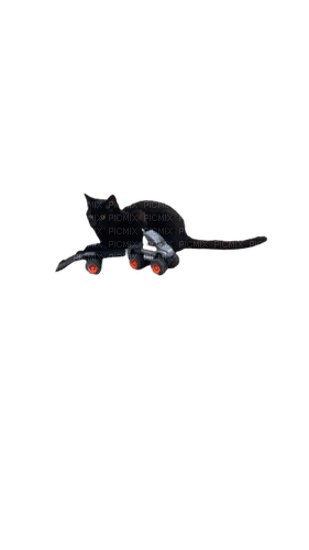 Cat with toy semi truck - png grátis