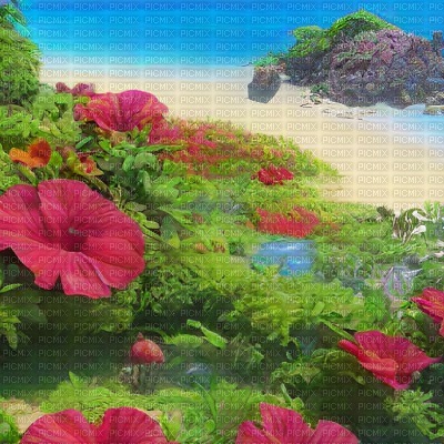 Red Hibiscus Island - Free PNG