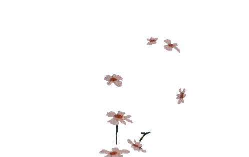 fleurs/gif - GIF animado gratis