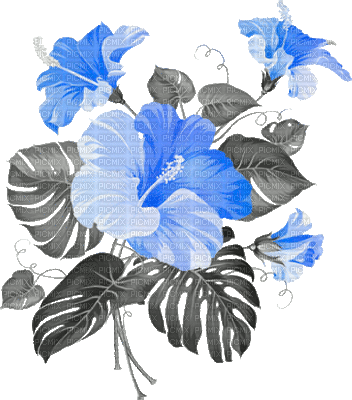 soave deco animated flowers summer tropical branch - Бесплатный анимированный гифка