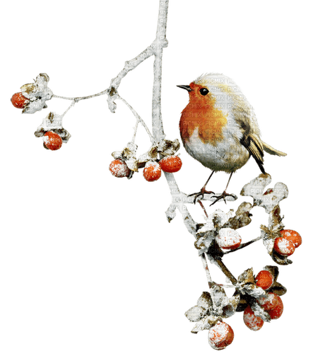 winter tree bird Bb2 - gratis png