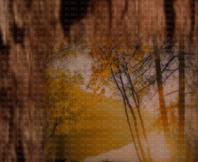 őszi háttér - autumn background - δωρεάν png