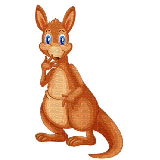 Kaz_Creations Cute Cartoon Kangaroo - PNG gratuit