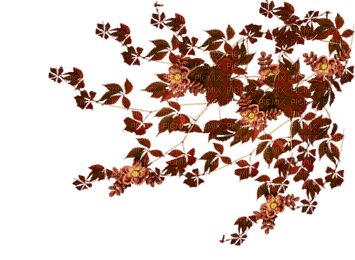 hojas otoño  dubravka4 - png grátis