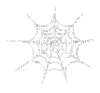 spiderweb - Δωρεάν κινούμενο GIF