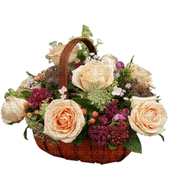 Kaz_Creations Deco Flowers Flower Basket   Plant Colours - nemokama png