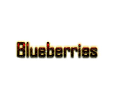 blueberries bp - nemokama png