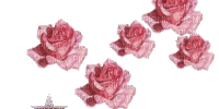 rózsák - Animovaný GIF zadarmo