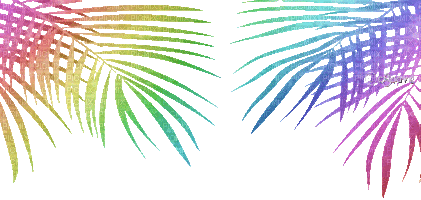 soave deco frame animated   tropical summer - 無料のアニメーション GIF