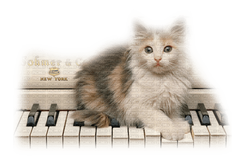 dolceluna cat vintage deco kitten piano music - PNG gratuit