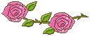 pink roses deco - GIF animado gratis