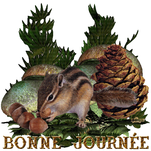 Squirrel Bonne Journee - Bezmaksas animēts GIF