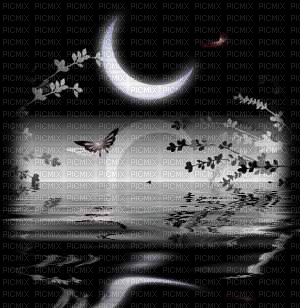 noche - Ingyenes animált GIF