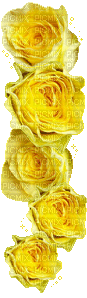 rosas - Ilmainen animoitu GIF