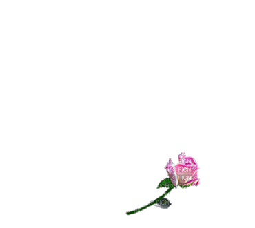 زهرة من الحباة - Animovaný GIF zadarmo