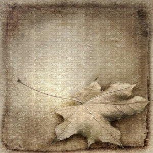 autumn leaf background - PNG gratuit