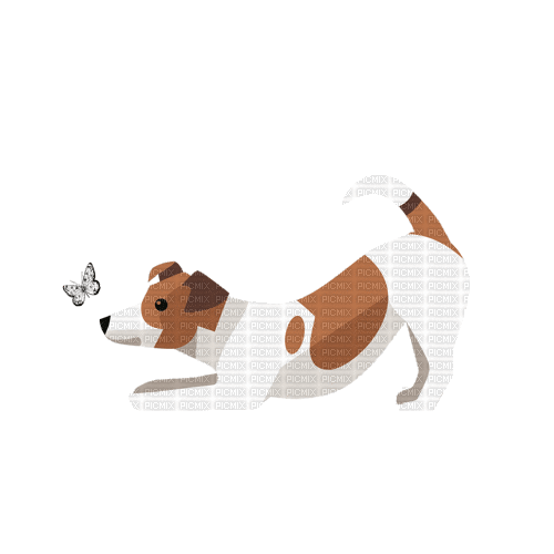 Dog.Chien.Perro.Papillon.butterfly.Victoriabea - Free animated GIF