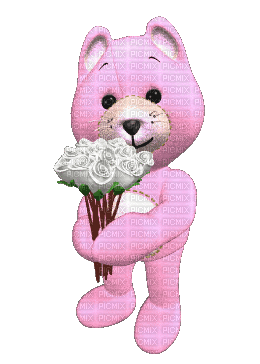 rosas brancas-l - 免费动画 GIF