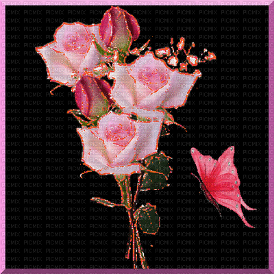 rosas - GIF เคลื่อนไหวฟรี