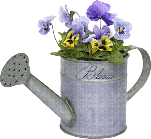 Gießkanne mit Blumen - kostenlos png