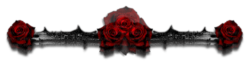 Gothique Barre Rose - zadarmo png