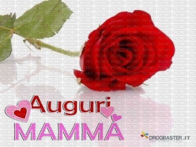 FOR MOTHER DAY - PNG gratuit