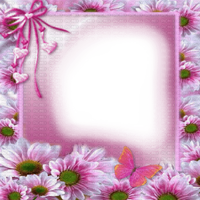 Pink floral frame - 無料png