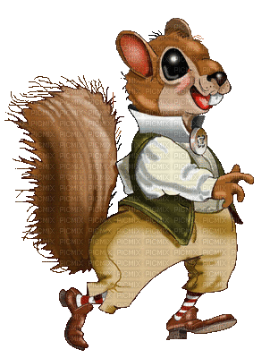 squirrel ecureuil - GIF animé gratuit
