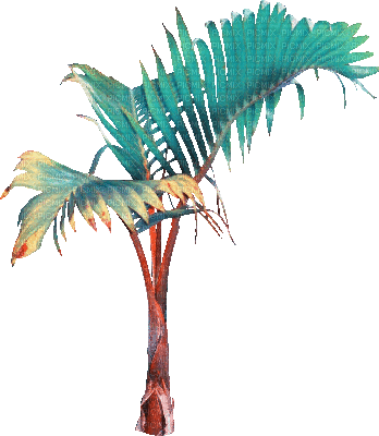 soave deco summer animated tropical tree palm - Gratis animeret GIF