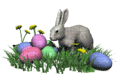 bunny16 - GIF animate gratis