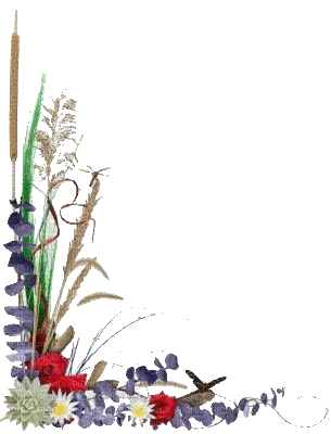 dried flowers - Gratis animeret GIF