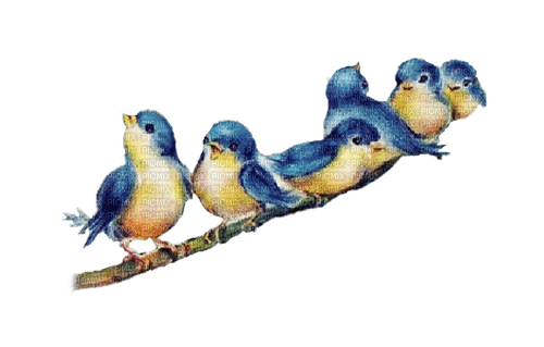 pajaritos azules  dubravka4 - Free PNG